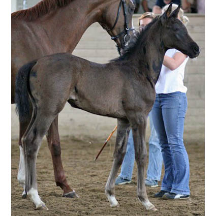 Foto:&nbsp;Manfred Baumeister