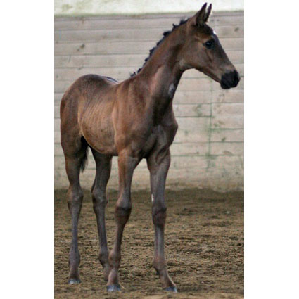 Foto:&nbsp;Manfred Baumeister