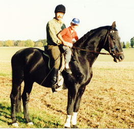 In seinen letzten Jahren im Heimatgestüt - Foto: privat