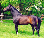 Foto: K. Schweiger