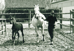 1967 mit Fohlen Kornweihe - Foto: privat